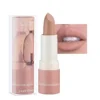41MILObfv2L._SX300_SY300_QL70_FMwebp_ AKARY Matte Nude Lipstick Review Bold Intense Shades for All Skin Tones