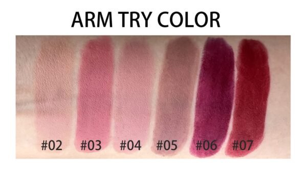 61BddNWNDSL._SL1280_ AKARY Matte Nude Lipstick Review Bold Intense Shades for All Skin Tones